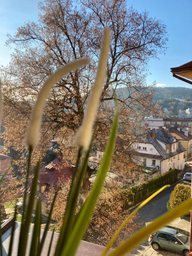 Apartament Bb II Na Kiepury Krynica Zdroj Bagian luar foto